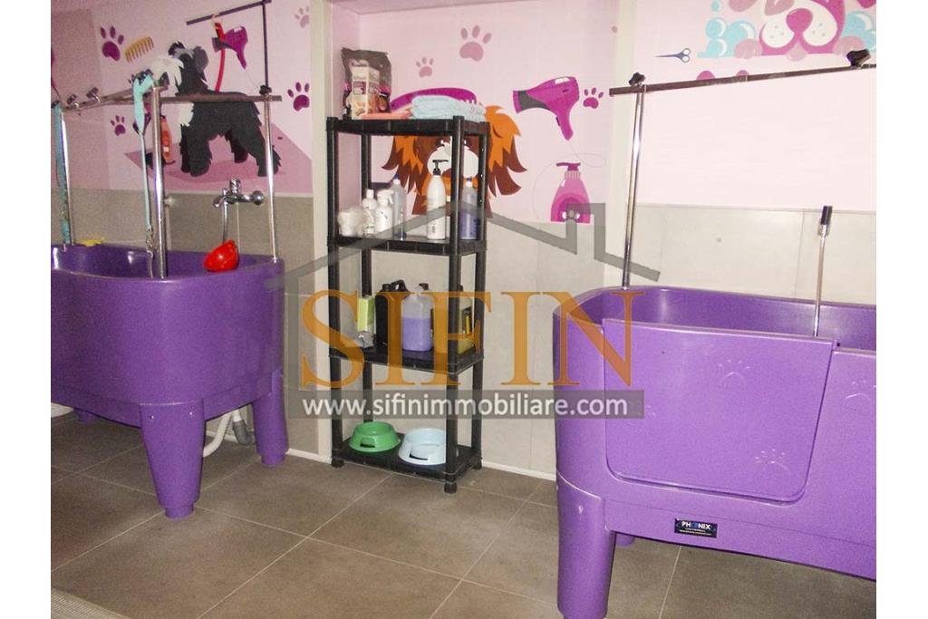 Negozio di Toelettatura PRONTO - Grottaminarda: Affittasi Negozio di Toelettatura 