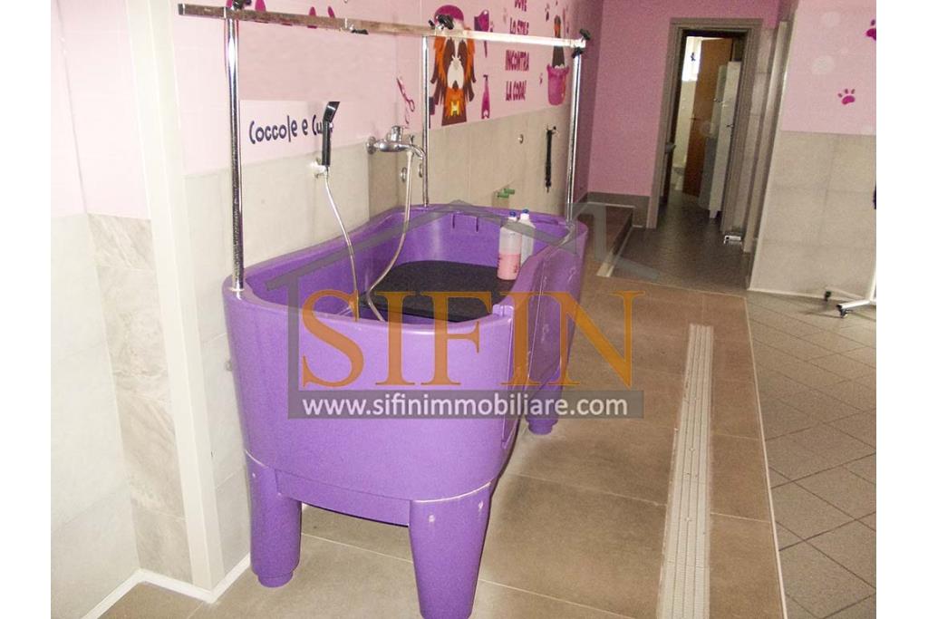 Negozio di Toelettatura PRONTO - Grottaminarda: Affittasi Negozio di Toelettatura 