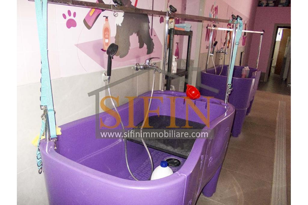 Negozio di Toelettatura PRONTO - Grottaminarda: Affittasi Negozio di Toelettatura 