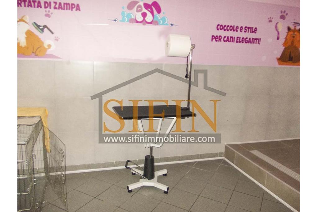 Negozio di Toelettatura PRONTO - Grottaminarda: Affittasi Negozio di Toelettatura 