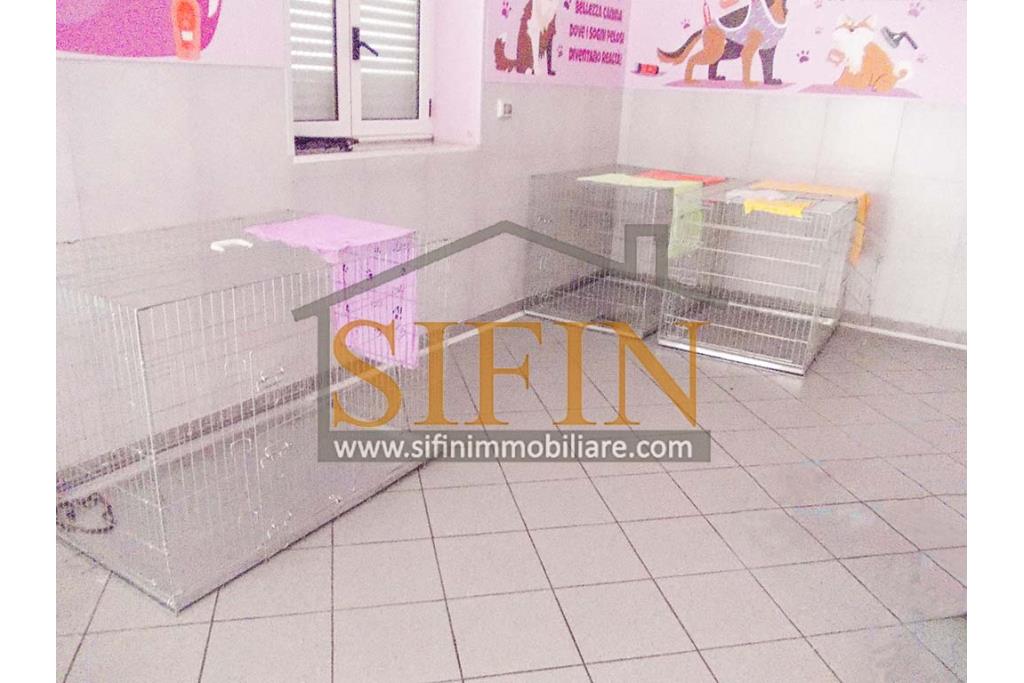 Negozio di Toelettatura PRONTO - Grottaminarda: Affittasi Negozio di Toelettatura 