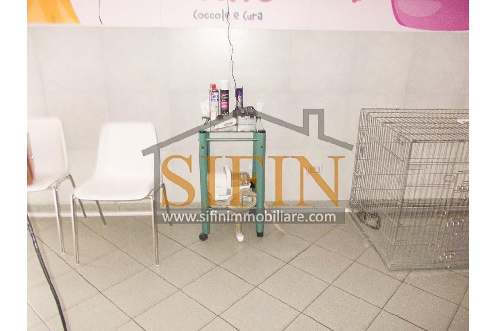 Negozio di Toelettatura PRONTO - Grottaminarda: Affittasi Negozio di Toelettatura 