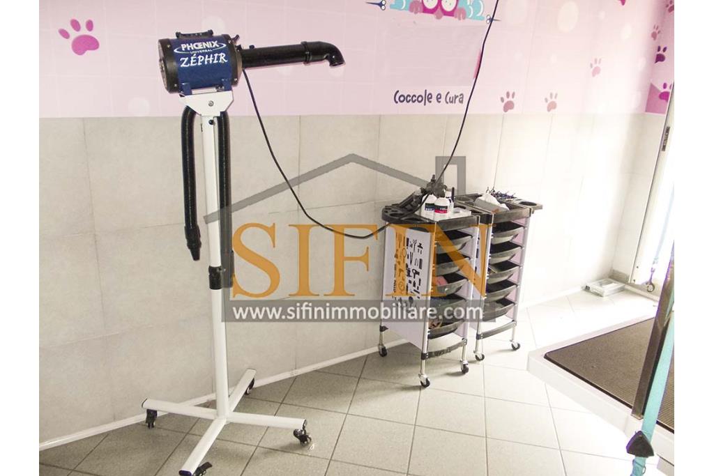 Negozio di Toelettatura PRONTO - Grottaminarda: Affittasi Negozio di Toelettatura 