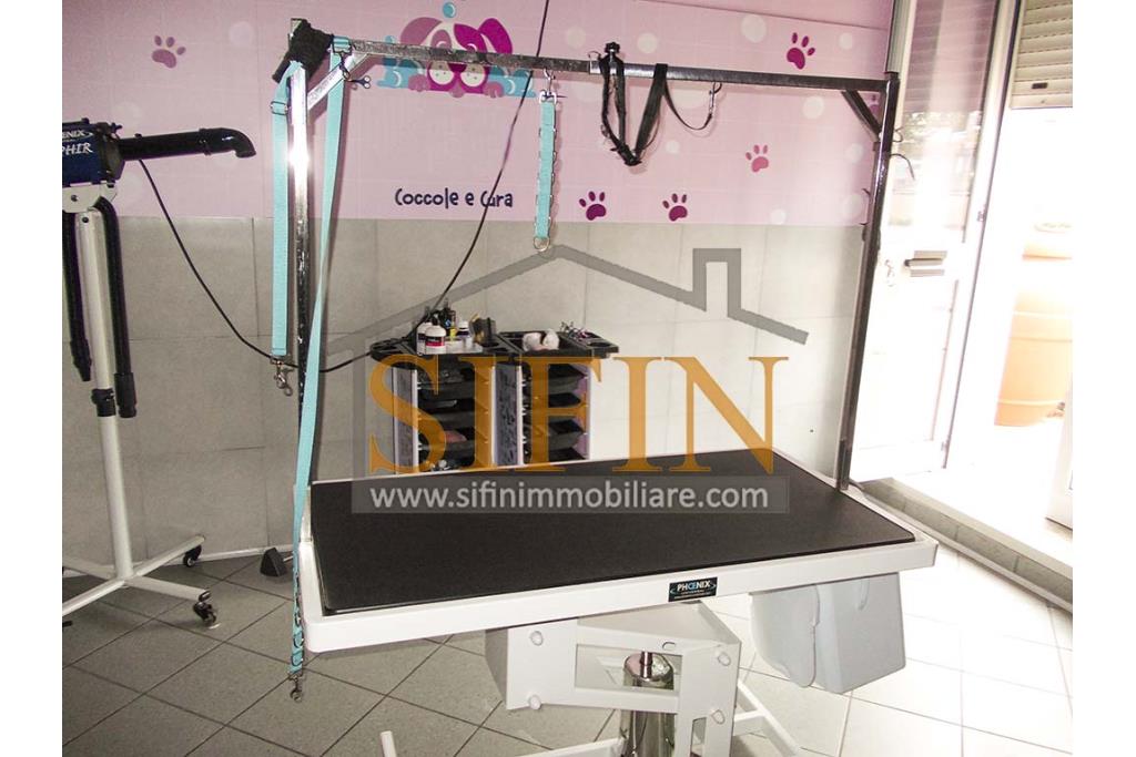 Negozio di Toelettatura PRONTO - Grottaminarda: Affittasi Negozio di Toelettatura 