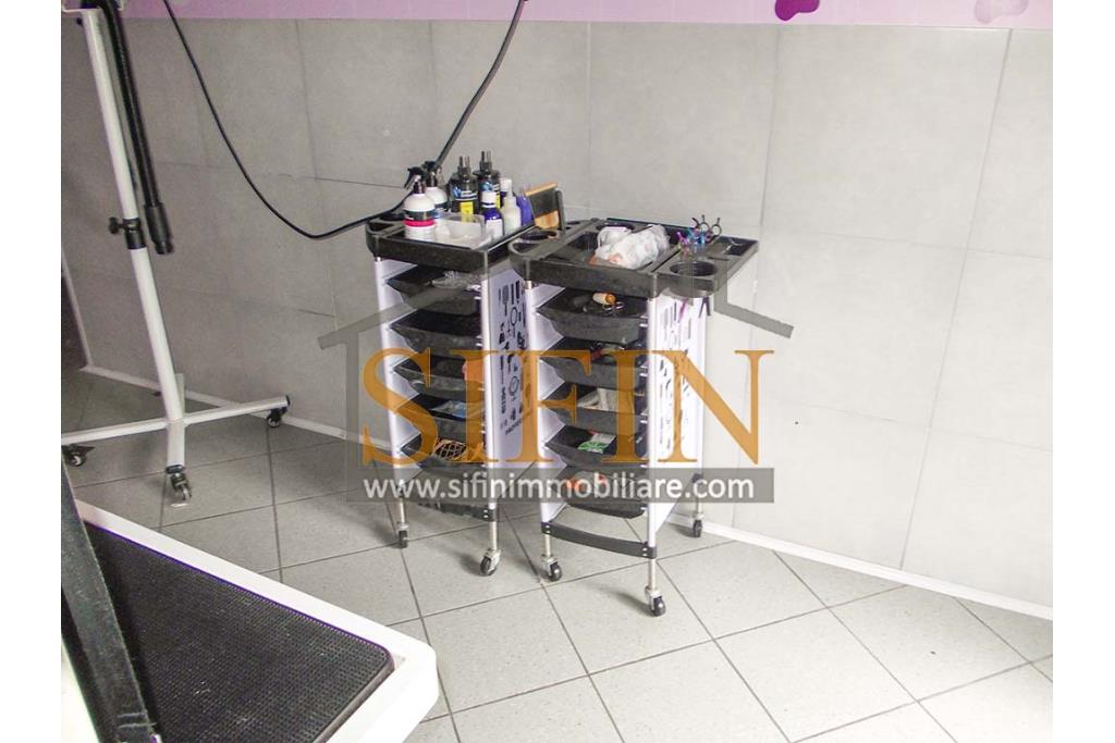 Negozio di Toelettatura PRONTO - Grottaminarda: Affittasi Negozio di Toelettatura 