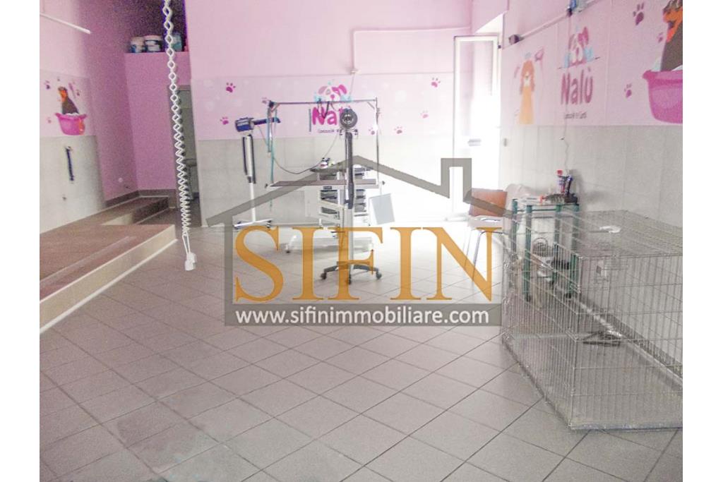 Negozio di Toelettatura PRONTO - Grottaminarda: Affittasi Negozio di Toelettatura 