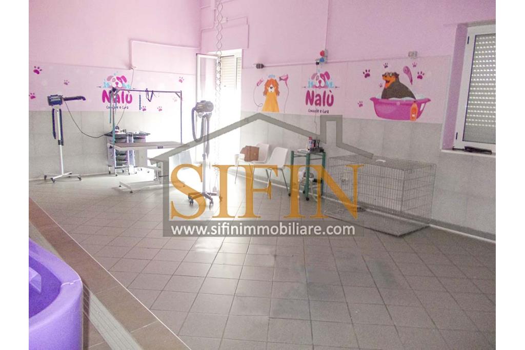 Negozio di Toelettatura PRONTO - Grottaminarda: Affittasi Negozio di Toelettatura 