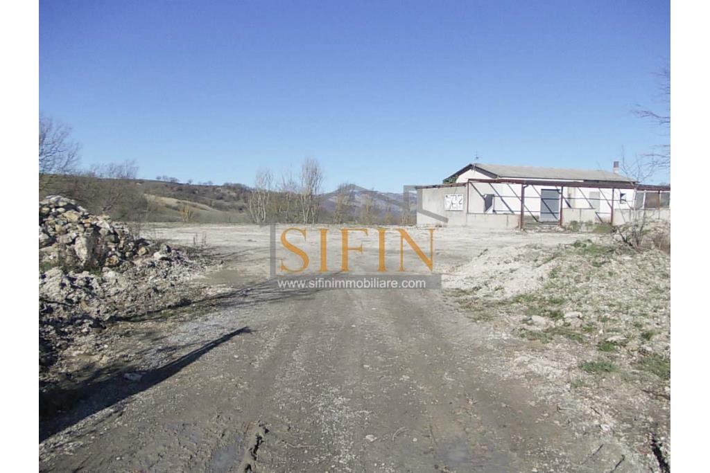 Terreno agricolo pescicoltura - Grottaminarda (AV) � Contrada Fossi
In posizione tranquilla e immersa nel verde, proponiamo in vendita un interessante terreno agricolo di circa 21.000 mq, dotato di impianto per pescicoltura e molteplici possibilit� di utilizzo e sviluppo