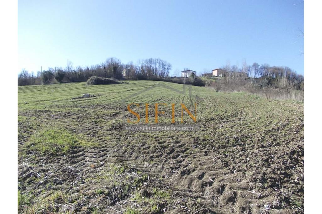 Terreno agricolo pescicoltura - Grottaminarda (AV) � Contrada Fossi
In posizione tranquilla e immersa nel verde, proponiamo in vendita un interessante terreno agricolo di circa 21.000 mq, dotato di impianto per pescicoltura e molteplici possibilit� di utilizzo e sviluppo