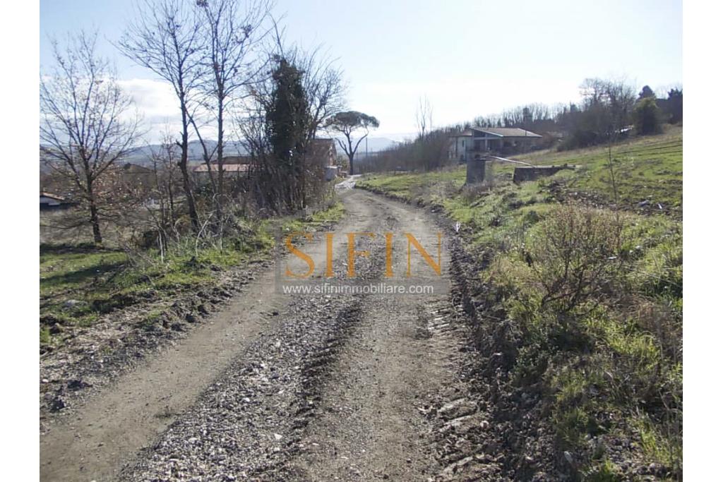 Terreno agricolo pescicoltura - Grottaminarda (AV) � Contrada Fossi
In posizione tranquilla e immersa nel verde, proponiamo in vendita un interessante terreno agricolo di circa 21.000 mq, dotato di impianto per pescicoltura e molteplici possibilit� di utilizzo e sviluppo