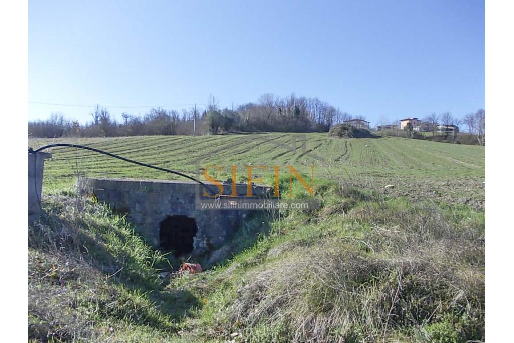 Terreno agricolo pescicoltura - Grottaminarda (AV) � Contrada Fossi
In posizione tranquilla e immersa nel verde, proponiamo in vendita un interessante terreno agricolo di circa 21.000 mq, dotato di impianto per pescicoltura e molteplici possibilit� di utilizzo e sviluppo
