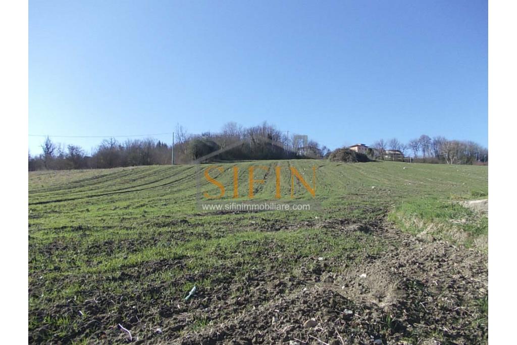 Terreno agricolo pescicoltura - Grottaminarda (AV) � Contrada Fossi
In posizione tranquilla e immersa nel verde, proponiamo in vendita un interessante terreno agricolo di circa 21.000 mq, dotato di impianto per pescicoltura e molteplici possibilit� di utilizzo e sviluppo