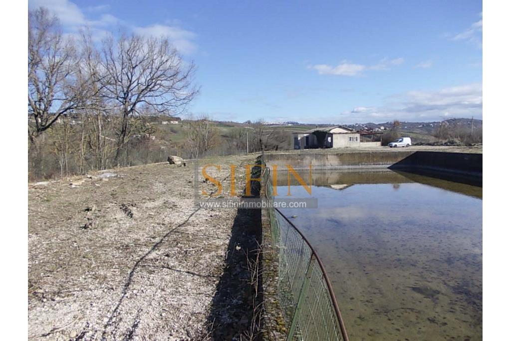 Terreno agricolo pescicoltura - Grottaminarda (AV) � Contrada Fossi
In posizione tranquilla e immersa nel verde, proponiamo in vendita un interessante terreno agricolo di circa 21.000 mq, dotato di impianto per pescicoltura e molteplici possibilit� di utilizzo e sviluppo