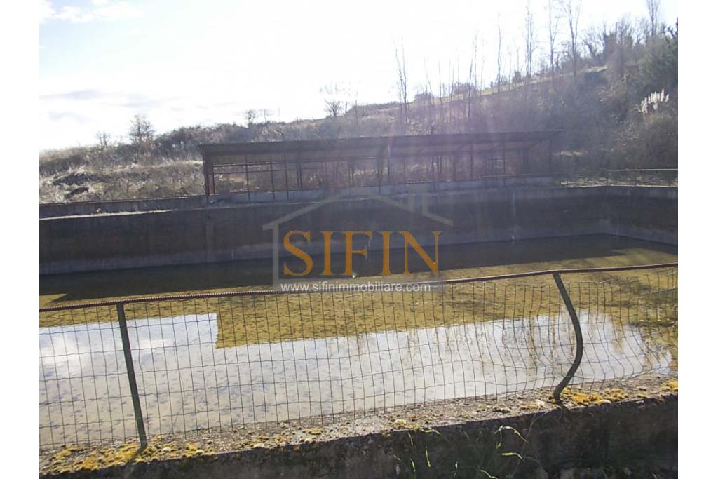 Terreno agricolo pescicoltura - Grottaminarda (AV) � Contrada Fossi
In posizione tranquilla e immersa nel verde, proponiamo in vendita un interessante terreno agricolo di circa 21.000 mq, dotato di impianto per pescicoltura e molteplici possibilit� di utilizzo e sviluppo