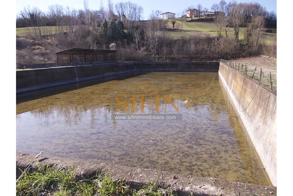 Terreno agricolo pescicoltura - Grottaminarda (AV) � Contrada Fossi
In posizione tranquilla e immersa nel verde, proponiamo in vendita un interessante terreno agricolo di circa 21.000 mq, dotato di impianto per pescicoltura e molteplici possibilit� di utilizzo e sviluppo