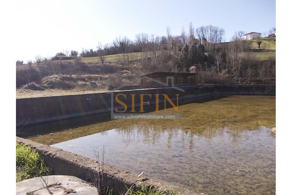 Terreno agricolo pescicoltura - Grottaminarda (AV) � Contrada Fossi
In posizione tranquilla e immersa nel verde, proponiamo in vendita un interessante terreno agricolo di circa 21.000 mq, dotato di impianto per pescicoltura e molteplici possibilit� di utilizzo e sviluppo