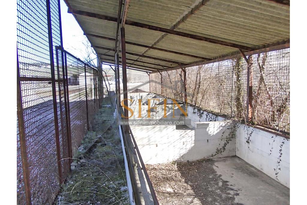Terreno agricolo pescicoltura - Grottaminarda (AV) � Contrada Fossi
In posizione tranquilla e immersa nel verde, proponiamo in vendita un interessante terreno agricolo di circa 21.000 mq, dotato di impianto per pescicoltura e molteplici possibilit� di utilizzo e sviluppo