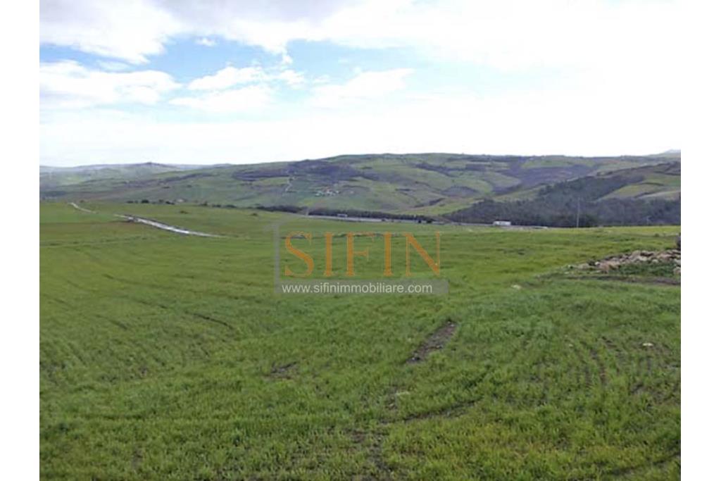 Casa con tre ettari di terreno - Casa di mq. 300,00 con mq. 33.000,00 di terreno con rudere di mq. 130,00