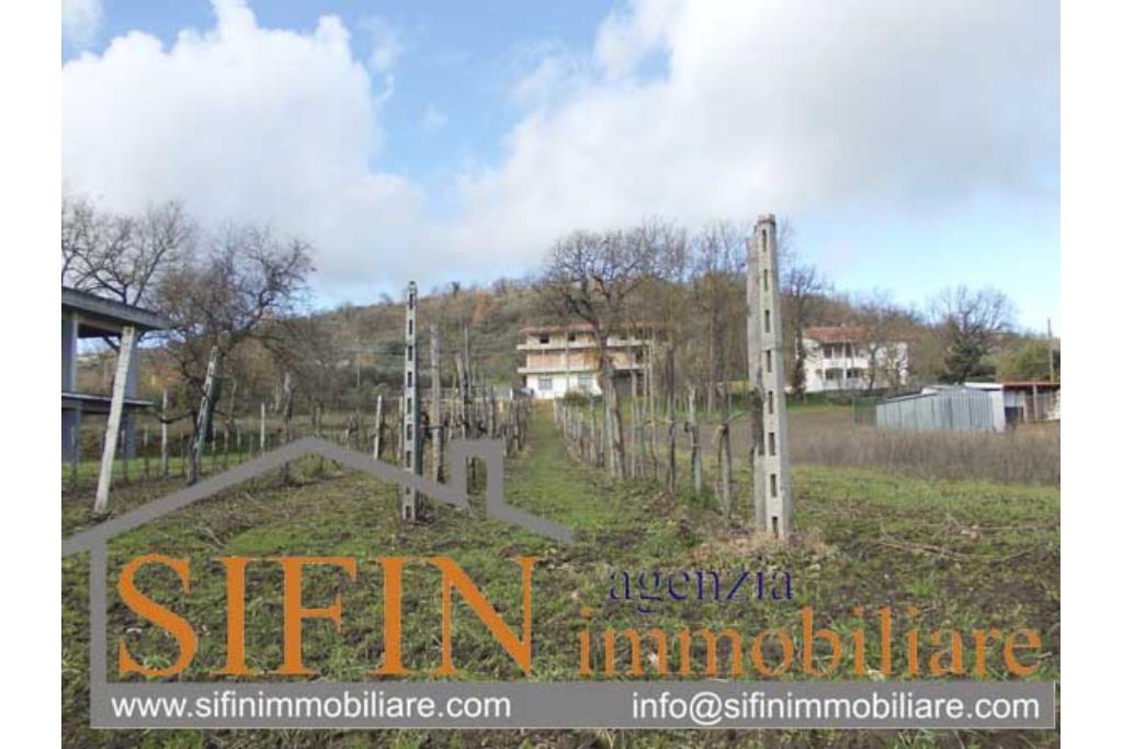 Terreno Edificabile - Grottaminarda (AV) - via Pioppi
In zona periferica proponiamo in vendita terreno edificabile di mq. 3.300,00 ricadente in 