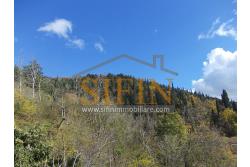 Palazzina con giardino - Carife, via Contardi, in posizione sovrastante e panoramica, proponiamo in vendita palazzina di compressivi mq. 240,00