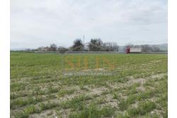 Terreno Edificabile - Grottaminarda (AV) in adiacenza della variante ANAS, proponiamo in vendita terreno edificabile di mq. 18.500,00 ricadente in zona