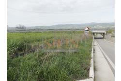 Terreno Edificabile - Grottaminarda (AV) in adiacenza della variante ANAS, proponiamo in vendita terreno edificabile di mq. 18.500,00 ricadente in zona