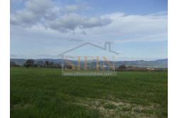 Terreno Edificabile - Grottaminarda (AV) in adiacenza della variante ANAS, proponiamo in vendita terreno edificabile di mq. 18.500,00 ricadente in zona