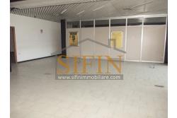 Ufficio mq. 500,00 - Ariano Irpino (AV), sulla centrale Via XXV aprile, appartamento di mq. 500,00 ca. con attuale destinazione categoria A/10 (ufficio)