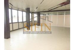 Ufficio mq. 500,00 - Ariano Irpino (AV), sulla centrale Via XXV aprile, proponiamo in locazione appartamento di mq. 500,00 ca. con attuale destinazione d'uso