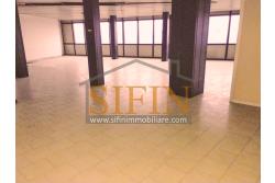 Ufficio mq. 500,00 - Ariano Irpino (AV), sulla centrale Via XXV aprile, proponiamo in locazione appartamento di mq. 500,00 ca. con attuale destinazione d'uso