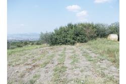 Terreno Edificabile - Terreno edificabile in vendita a Grottaminarda Frazione Carpignano