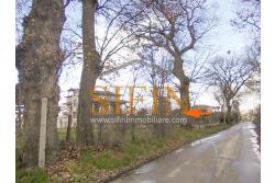 Terreno Edificabile - Grottaminarda (AV) nella prima periferie, c/da Starse, a soli due minuti in auto dal casello autostradale della A16 NA-BA (poco più di un km) proponiamo in vendita terreno edificabile e pianeggiante di mq. 3.800,00ca. servito da pozzo.