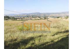 Terreno Edificabile - Grottaminarda, contrada Bosco, proponiamo in vendita terreno edificabile di mq. 4.000,00 ca. in zona molto panoramica
